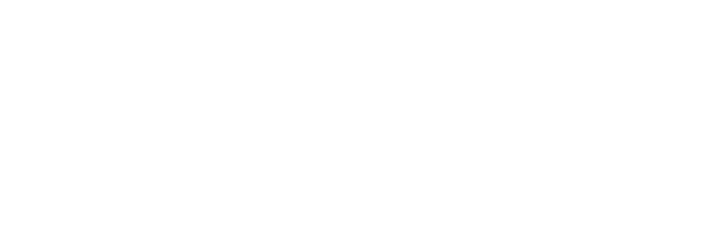 Lone Star Drills logo